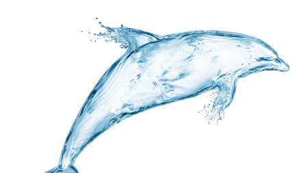 Water dolphin - white, blue, water, summer, dolphin