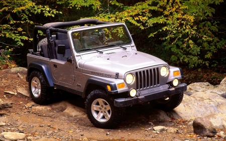 jeep tj - american, jeep, forest, tree