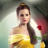 Beauty and the Beast (2017)