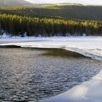 Winter river ice