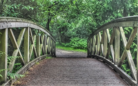 Forest Bridge - forest, park, garden, bridge