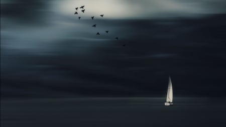 birds flying over sailboat - sea, birds, dark, sailboat