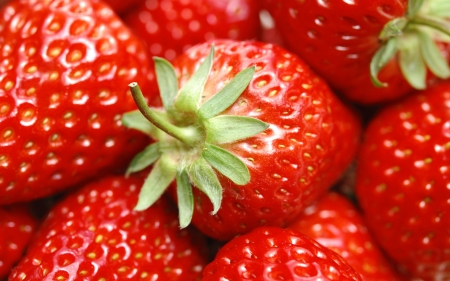 fresh strawberries - strawberry, food, berry, fruit