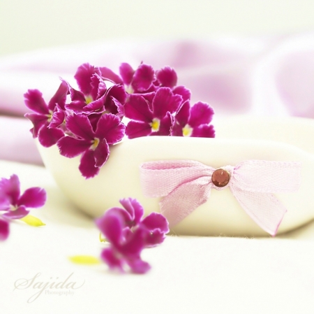 ♥ - flowers, purple, photography, soft