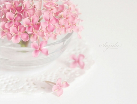 â™¥ - flowers, photography, pink, soft