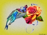 HUMMINGBIRD