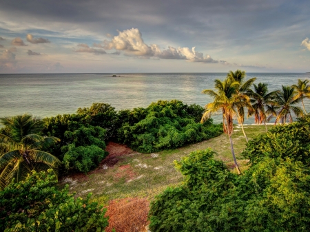 Bahia Honda State Park,USA - nature, ocean, tropics, clouds, park, florida, palm, coast