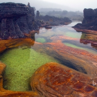 Hot springs on Mount Roraima Venezuela