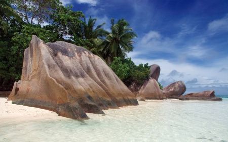 beach - cool, fun, beach, ocean, nature