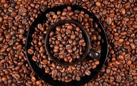 coffee beans - fun, coffee, yummy, entertainment, cool, foods