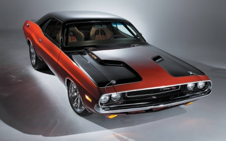 Dodge Challenger - car, cool, fun, dodge, challenger