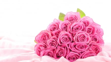 With love - flowers, roses, pink roses, petals, pink