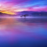 Purple Lake