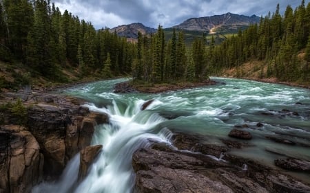 Sunwapta Falls, Jasper Nat'l. Park, Alberta - mountains, forests, waterfall, canada, nature