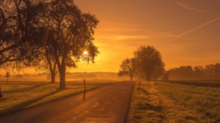 Countryside Meadow - trees, sunset, nature, fields, meadow, country