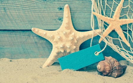 Enjoy Summer Holidays! - white, wood, starfish, beach, blue, card, summer, shell