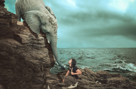 Can I help you? - stone, animal, elephant, rock, situation, sea, man, creative