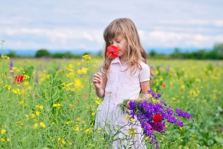 Summer fragrance - poppy, yellow, summer, girl, flower, copil, child, purple, red, green, field