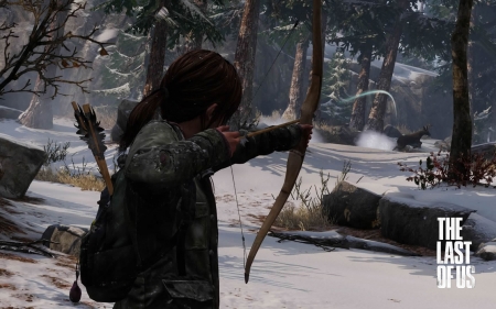 The Last Of Us - Survival, The Last Of Us, gaming, Open world