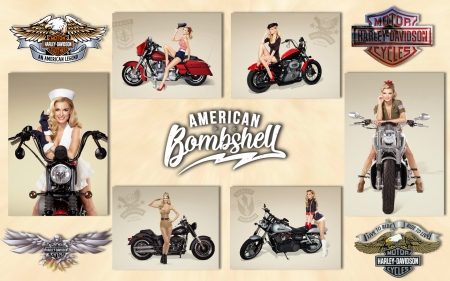 The American Bombshell - harley, blonde, davidson, motorbikes