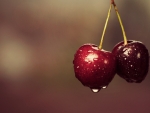 Delicious Cherry