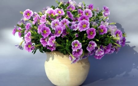 Purple Flowers - flowers, beautiful, purple, still life