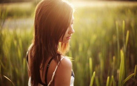 A girl_in the field and sunset - field, sunset, girl, a