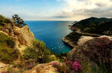 Coastal view - summer, coast, beautiful, sea, boats, wildflowers, view, rocks, bay