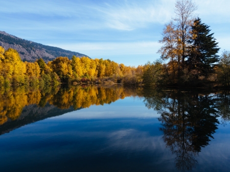 Lakeside Forest - trees, nature, lake, forest, mountains, sky