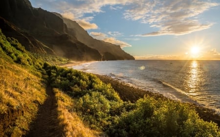 Coast at Sunrise - clouds, Hawaii, trees, nature, coast, sunrise, mountains, reflection