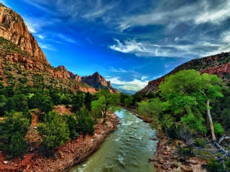 Zion National Park,USA - trees, park, bushes, nature, forest, clouds, river, stones, cliffs