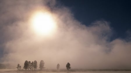 sunrise hidden by morning fog - trees, shore, fog, sunrise, lake