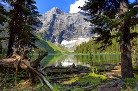 Landscape with mountain and lake - lake, sky, mountain, trees, landscape, hills, rocks, reflection, tranquil, beautiful, cliffs