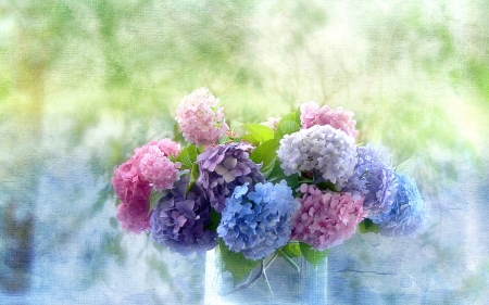 Hydrangea - flowers, vase, blossoms, artwork, bpuquet, petals, still life