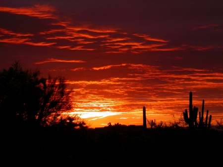 Amazing Sky - sunset, shadow, nature, sky