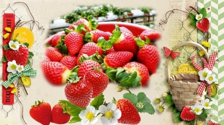 Strawberry Farm - strawberries, blossoms, summer, collage, fruit