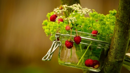 Summer gift - berries, forest, nature, tree