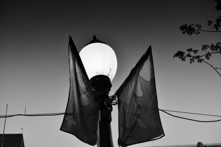 Street light in Vancouver - Vancouver  Canada, Street, night, light, blackand white