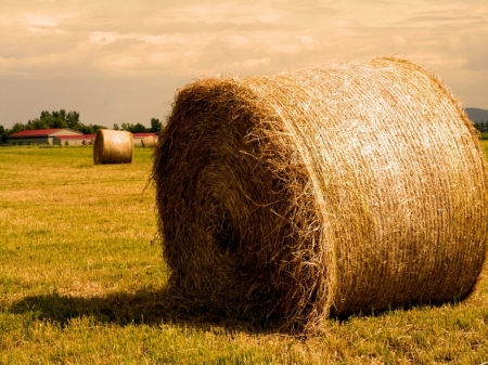 Round Hay Bales - nature, Hay, Round, landscape, field, Bales, farming