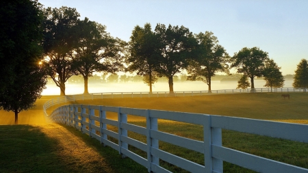 Open Land - fence, landscape, field, trees, nature