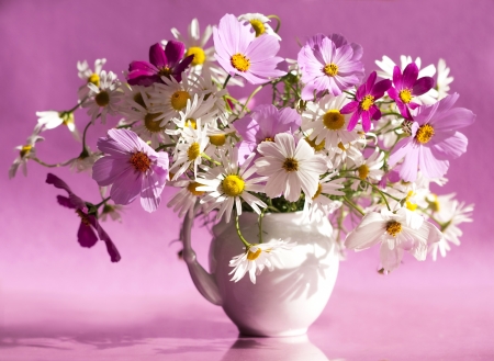 Spring Cosmos - flowers, vase, pitcher, cosmos, Spring, bouquet