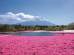 Takinoue Park, Japan