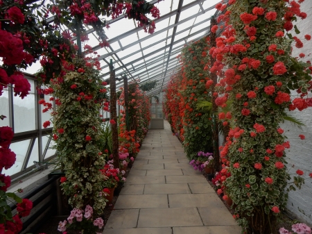 Colourful Greenhouse - garden, greenhouse, flowers, colour, park