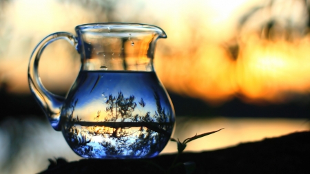 sunset in a glass pitcher - pitcher, glass, trees, water, sunset