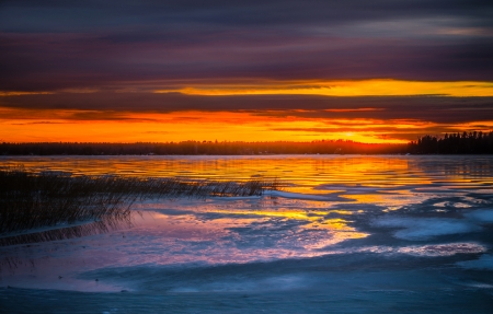 Beautiful Evening - sky, lake, trees, evening, light, clouds, water