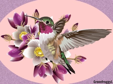 HUMMINGBIRD - creation, abstract, flowers, bird