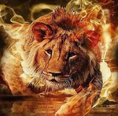 'King of beasts'..... - lions, fire, mystical, cats, wild, animals