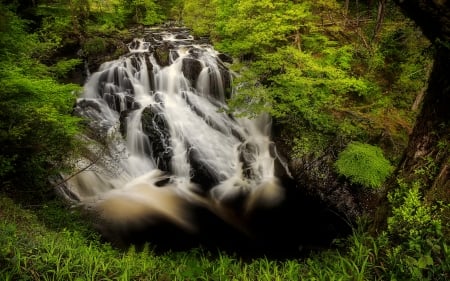 Forest waterfall - view, forest, trees, summer, waterfall