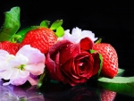 Strawberries and Flowers