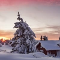 forest cabins covered in snow at sunset